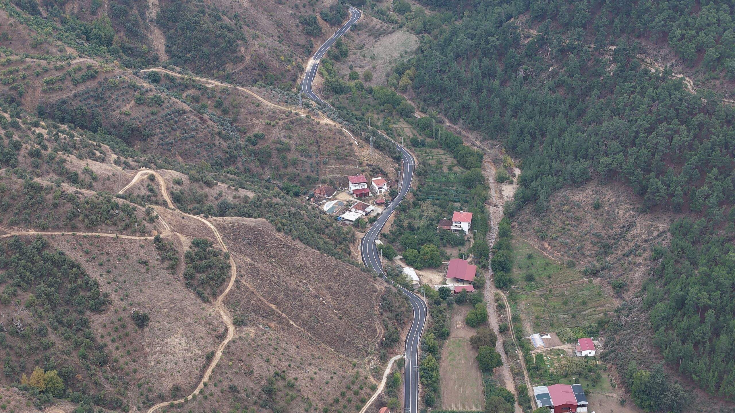 Kiraz Umurlu 2