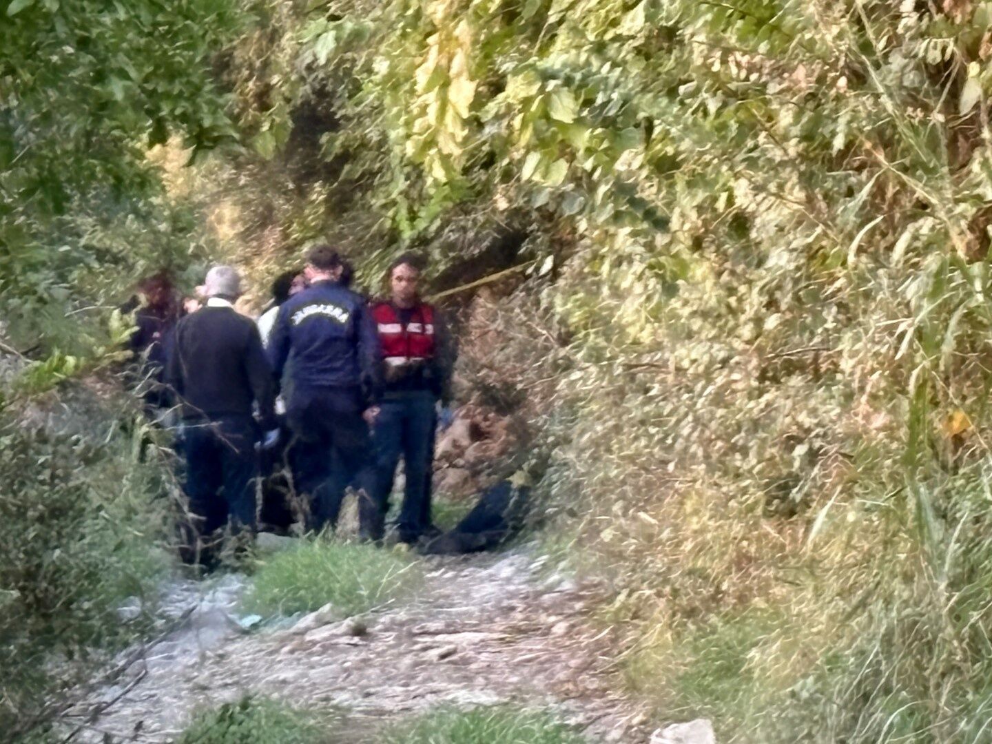Koyunlarını Otlatırken Hayatını Kaybetti (2)