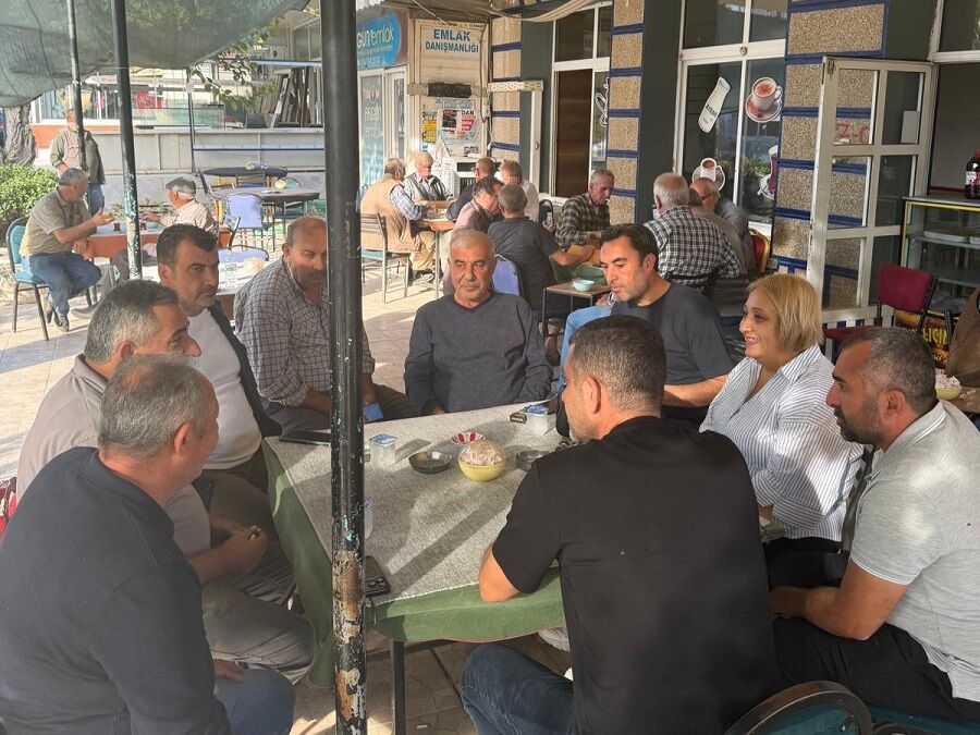 Pazar Mesaisi (8)