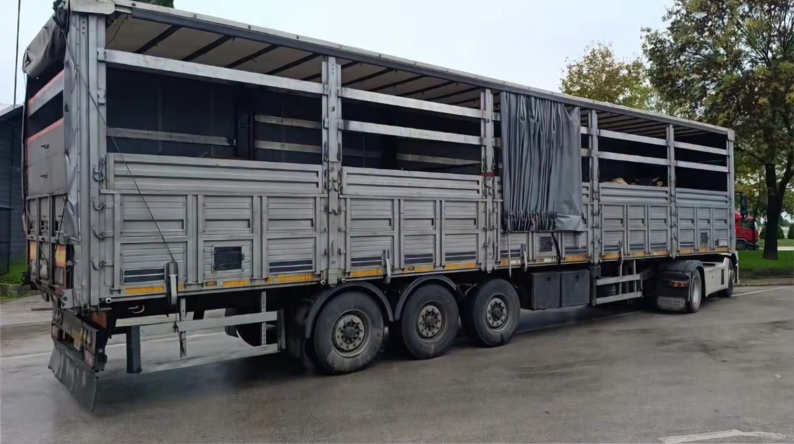 Sakarya’da 29 Büyükbaş Hayvan Karantinaya Alındı (2)